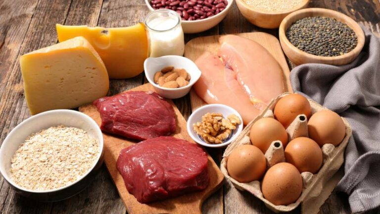 Conheça os principais alimentos ricos em proteína