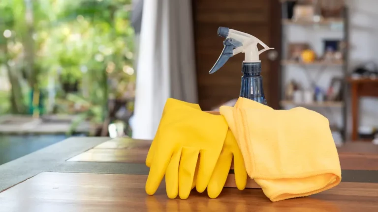Como limpar e manter sua casa